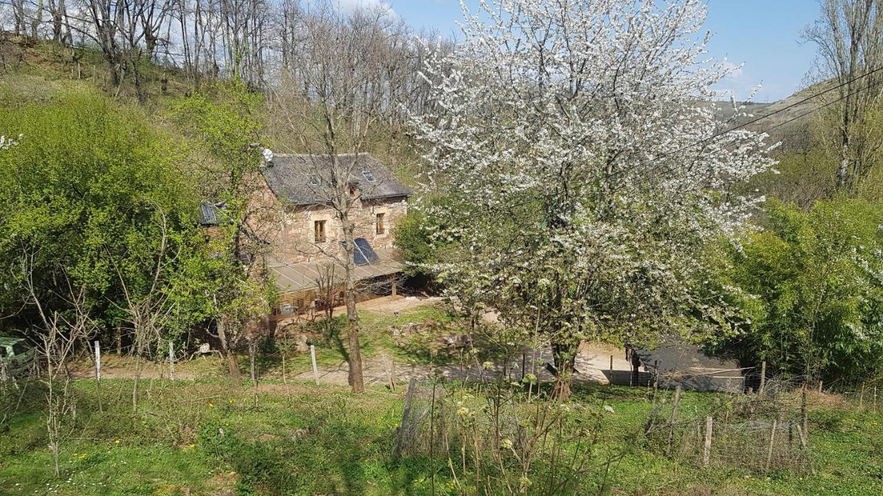 Maison Isolee Dans Les Vignes Et Les Bois Valady المظهر الخارجي الصورة