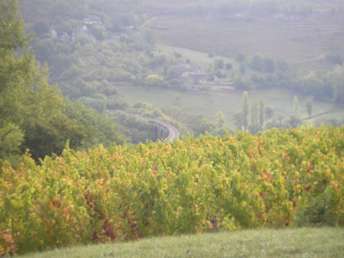 Maison Isolee Dans Les Vignes Et Les Bois Valady المظهر الخارجي الصورة