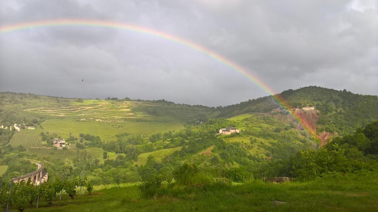 Maison Isolee Dans Les Vignes Et Les Bois Valady المظهر الخارجي الصورة
