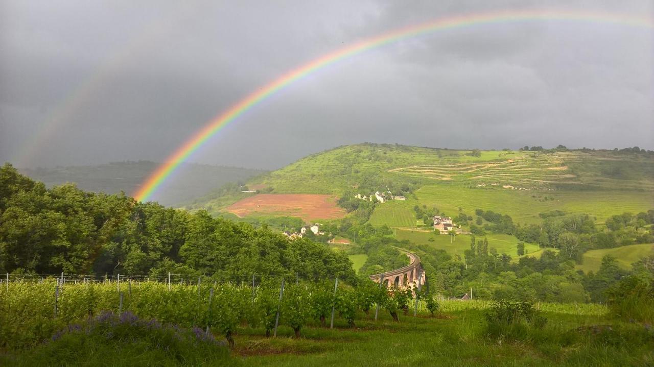 Maison Isolee Dans Les Vignes Et Les Bois Valady المظهر الخارجي الصورة